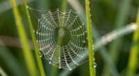 understanding moisture beyond liquids