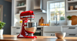 How to Clean a KitchenAid Professional 600 Mixer Safely