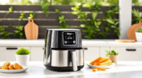 Beat the Heat with the Ninja Air Fryer 4 QT for Summer Snacks