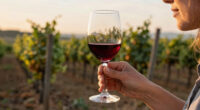 Kentucky Wineries Association Surges In Global Coverage