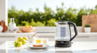 Stay Cool & Brew Perfect Iced Teas with the Ninja KT200BL Kettle