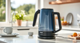Beat the Heat with the Ninja KT200BL Electric Kettle This Summer