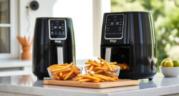 Ninja Air Fryer XL: The Perfect Summer Crispy Companion