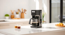 Ninja Hot & Iced XL Coffee Maker: The Ultimate Summer Brew Companion