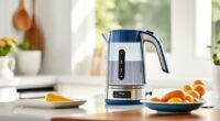 Summer Care Tips for Your Ninja KT200BL Electric Kettle