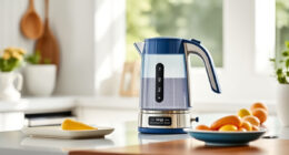 Summer Care Tips for Your Ninja KT200BL Electric Kettle