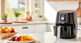Summer Care & Troubleshooting for the Ninja Air Fryer 4 Qt