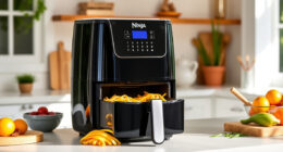 Summer Sweetness: Must-Have Accessories for Your Ninja DoubleStack XL Air Fryer